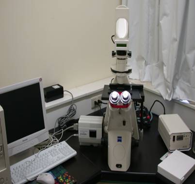 倒立螢光顯微鏡（Inverted fluorescence microscope）